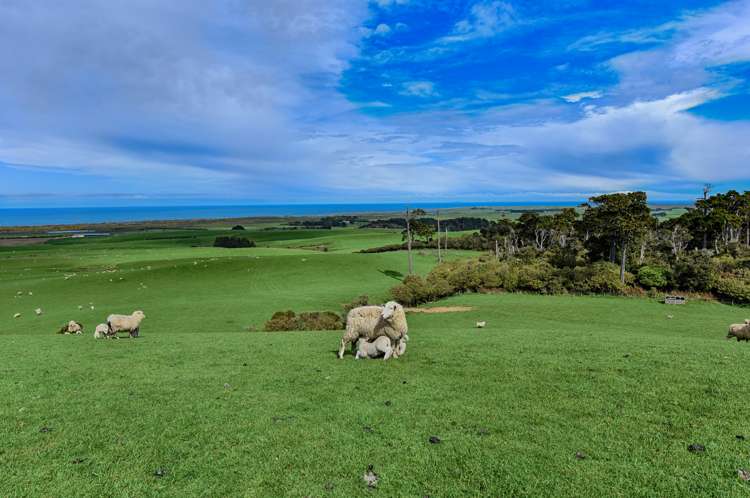 283 Otara Haldane Road Wyndham Surrounds_15