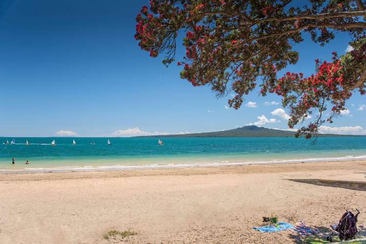 8a Wicklow Road, Narrow Neck Devonport_21