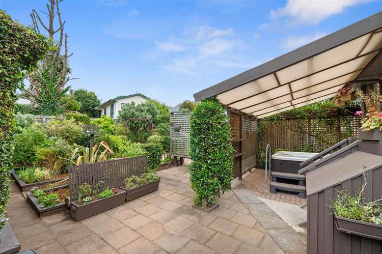 1 Kiwi Street Springfield_10