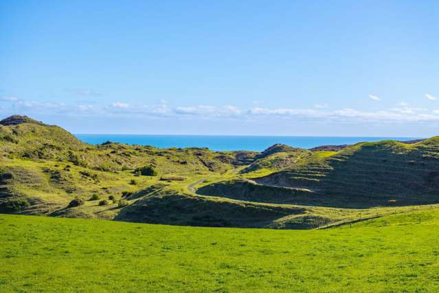 Coastal 13.5ha lifestyle block