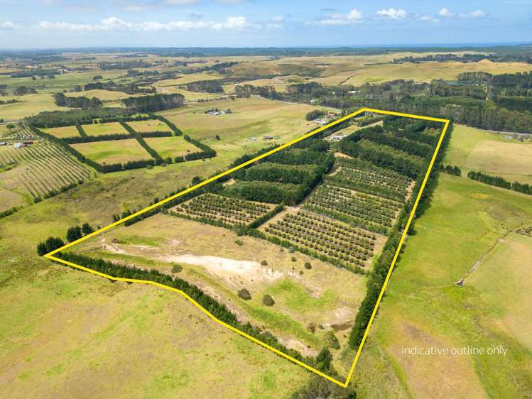 5126 State Highway One Ngataki_23