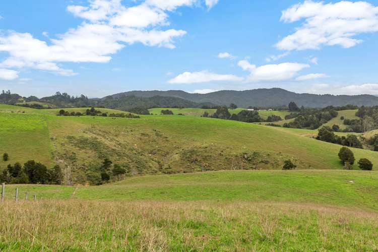 450 Kaiikanui Road Hukerenui and Surrounds_6