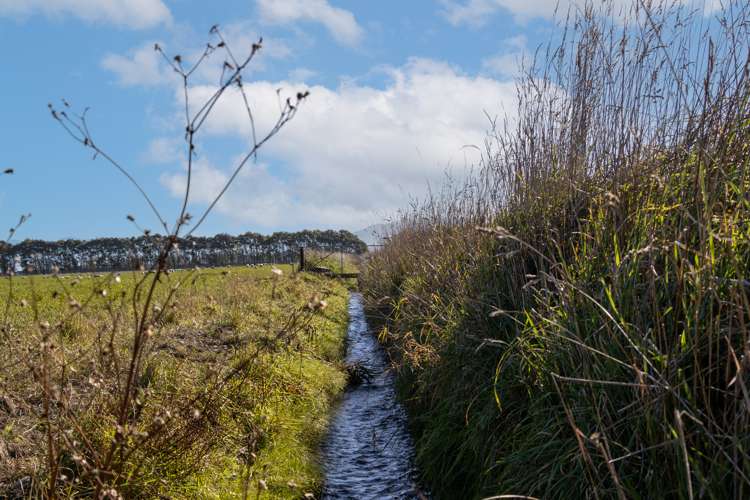 197 Maindonalds Road West Eyreton_9