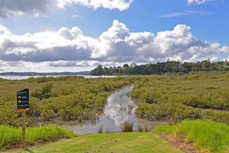 2/4 Wickstead Place Massey_18