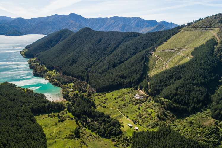 Four Fathom Bay Pelorus Sound_9