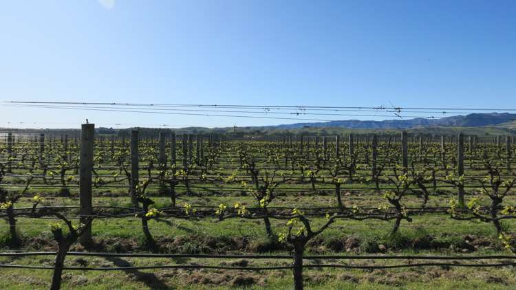 708 Waihopai Valley Road Waihopai Valley_14