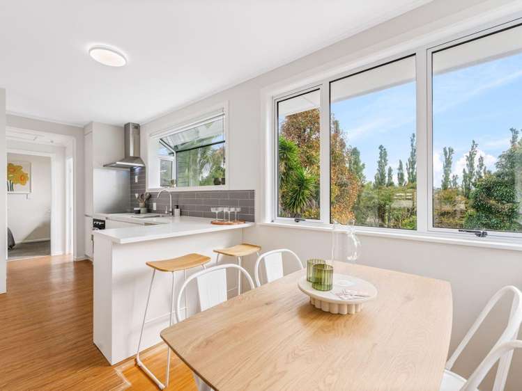 207 Sturges Road 11401_5