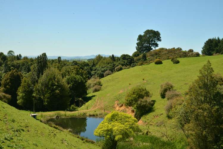 877 Puketawai Road Otorohanga_10