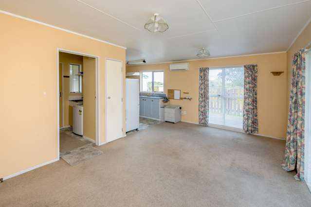 110a Ryder Crescent Levin_3