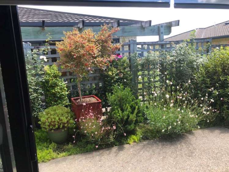 71/11 Manuka Street Matamata_13