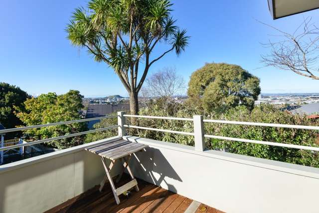 17a Ngatiawa Street One Tree Hill_1