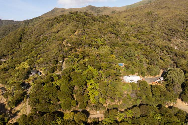 Kapowai Bay Marlborough Sounds_7