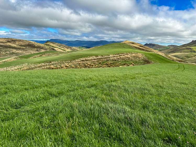 Cairn Road Clinton and Surrounds_7