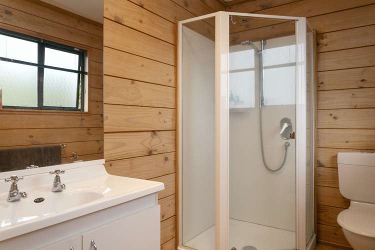 74 Logan Avenue Wharewaka_9