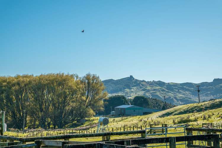 229 Rangikohua Road Tolaga Bay_1