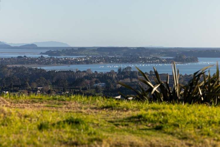 213e Minden Road Wairoa_6