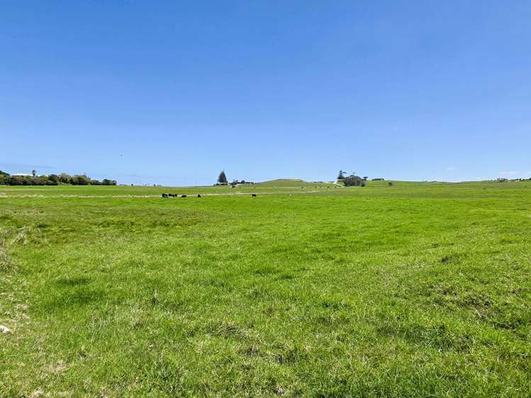 77 Molloy Road Ruawai_13