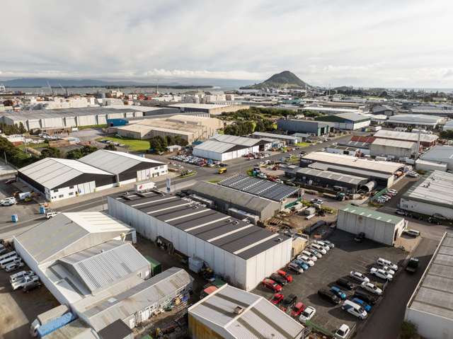 4/25 Maru Street Mt Maunganui_4