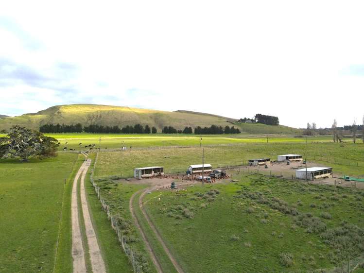 Lot 3/478 Oruawharo Road Takapau_3