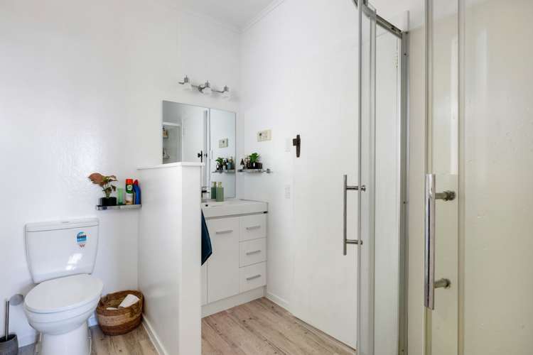 52 Ellicott Road Nawton_11