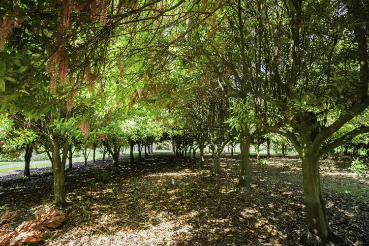 880 South Head Road South Head_8