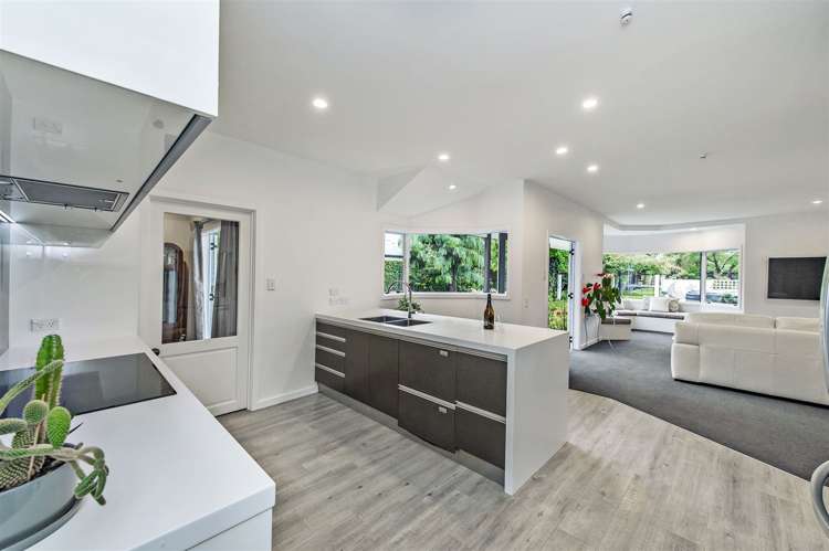 36 Jacksons Road Merivale_12