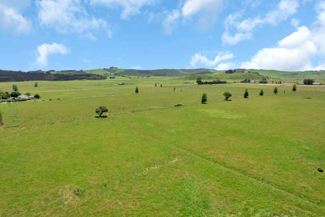 530 Tramline Road Ruawai_2