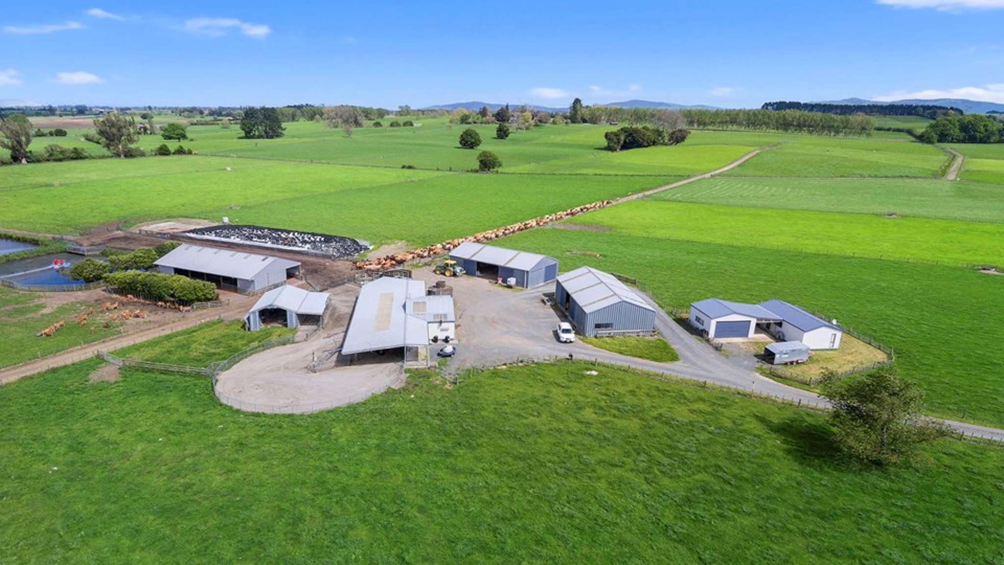 East Waikato dairy farm jewel for sale