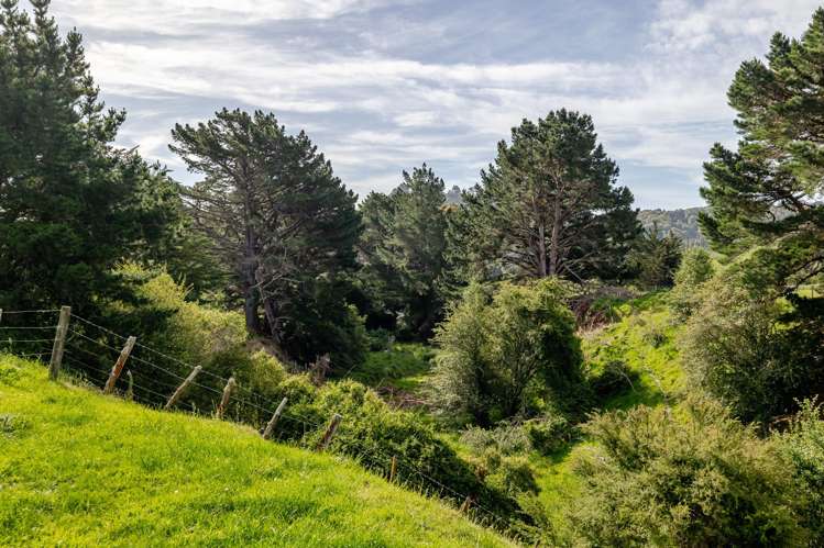 423 Castle Hill Road Alfredton_18