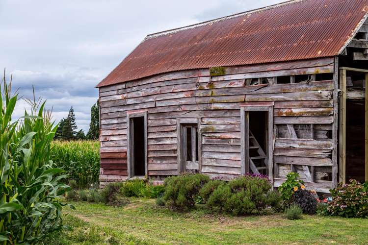 2520 State Highway 2 Greytown_6