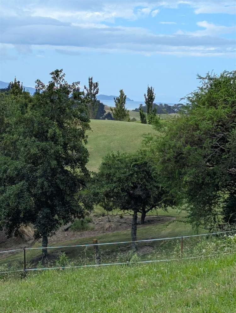 41 Harley Ridge Upper Moutere_6