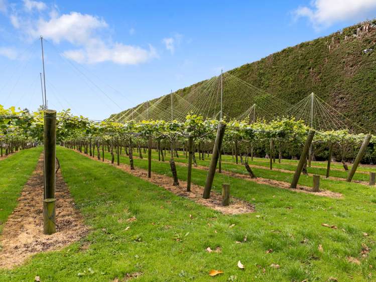 706 No 1 Road Te Puke_7