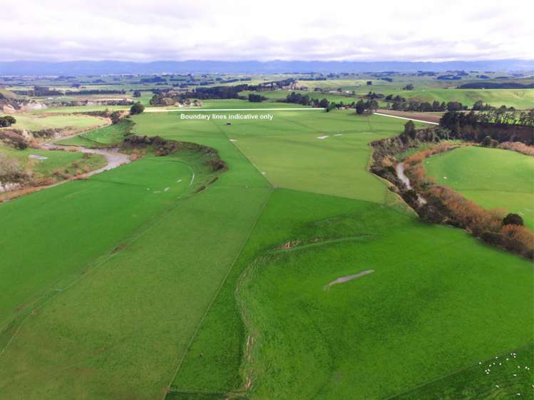 63 Hamilton Road Dannevirke_29