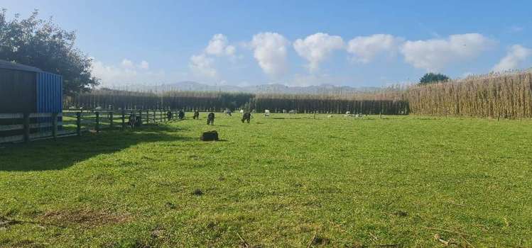 147 Ellesmere Road Prebbleton_27