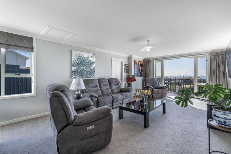 36 Theodore Street Bluff_6