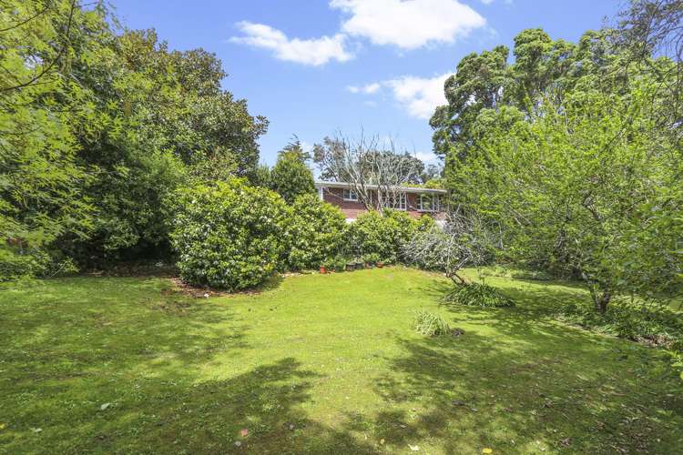 84a Landscape Road Mount Eden_6