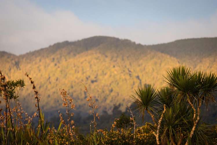 Lot 1 Tasman Way Ross_6