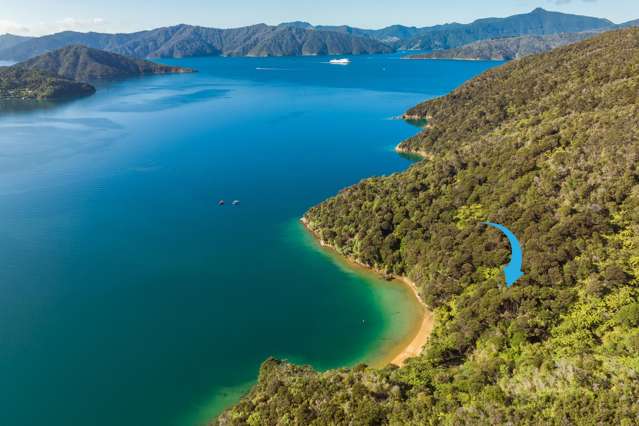 Cherry Bay, Ruakaka Bay Marlborough Sounds_1