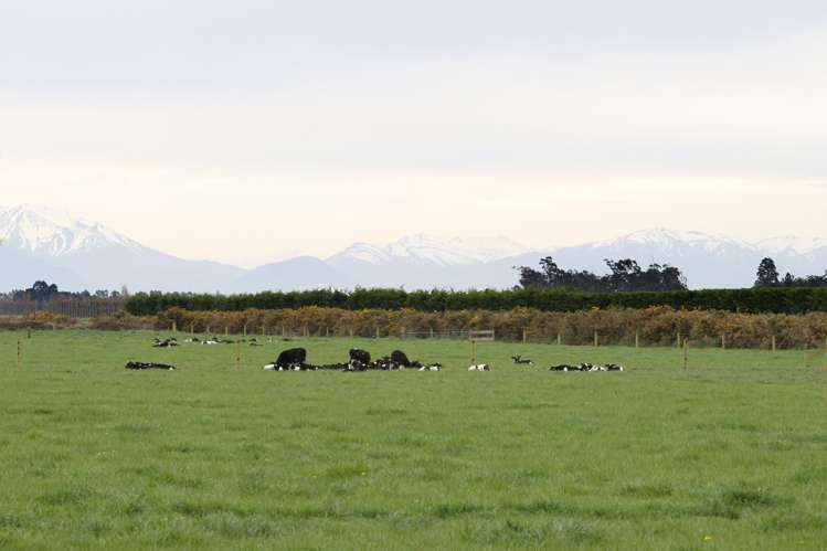 482 Boundary Road Willowby_17