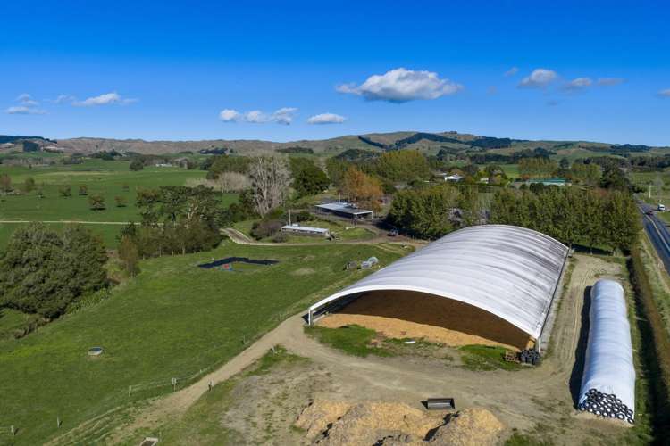 141 Te Mata Road Raglan_14