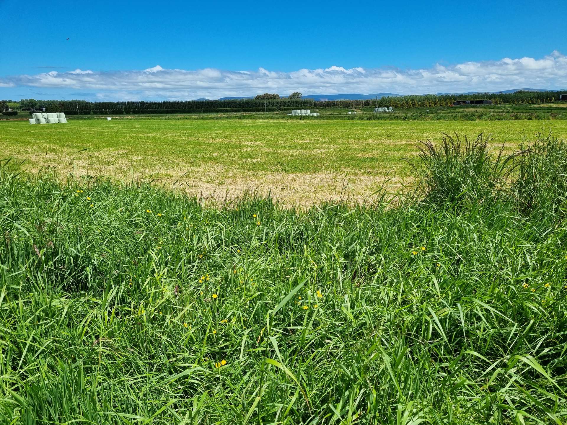 223 Kaitangata Highway Stirling_0