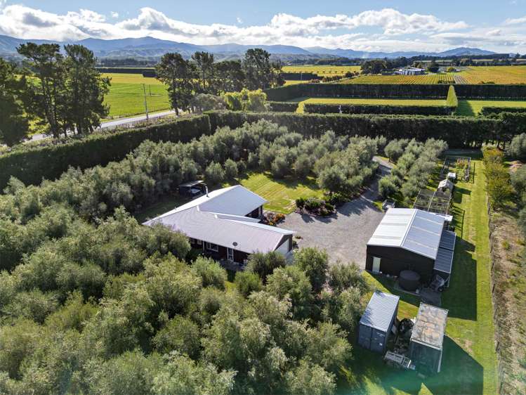 222 Paierau Road Opaki_16