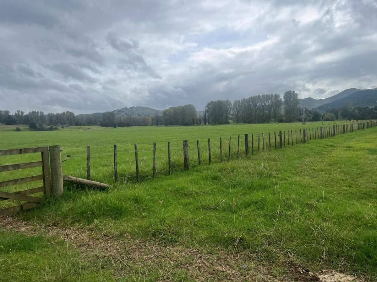 3567 Mangakahia Road_1