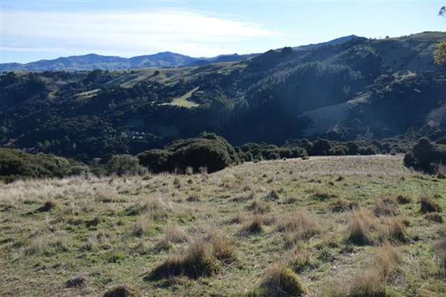 194 Grehan Valley Road Akaroa_2