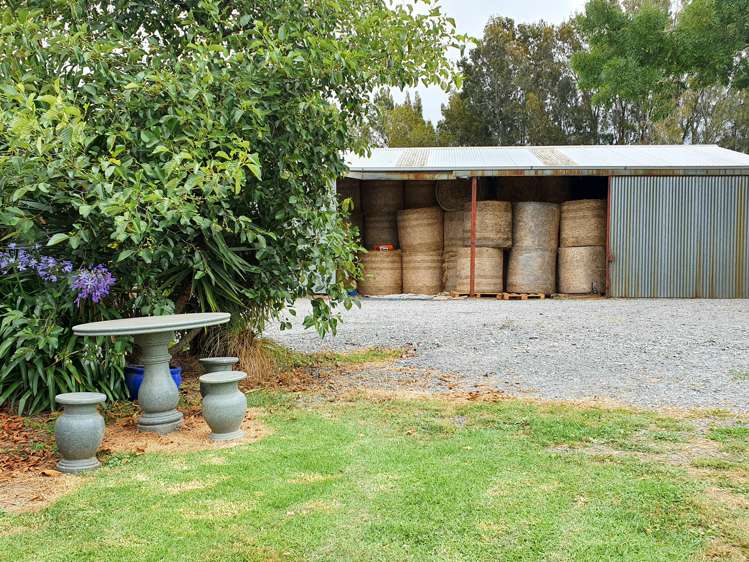 95 Cross Road Morrinsville_15