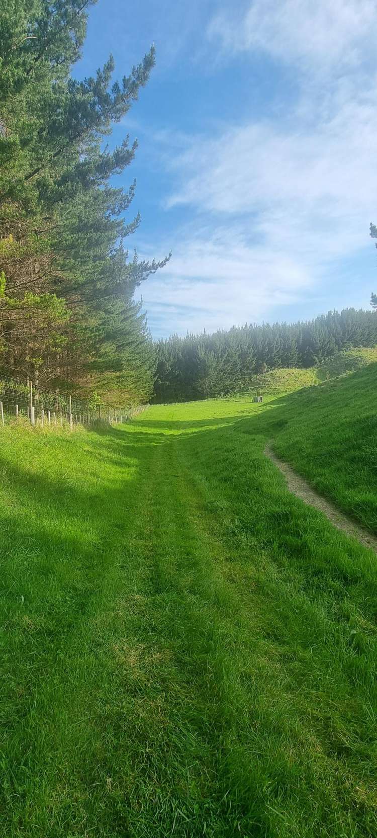 2877 State Highway 30 Rotoma_22