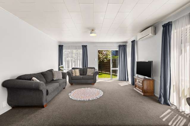 163A Guppy Road Taradale_1