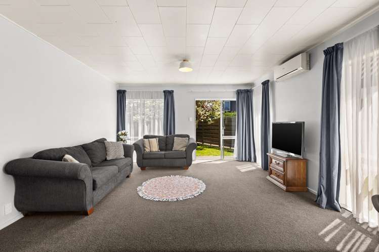 163A Guppy Road Taradale_1