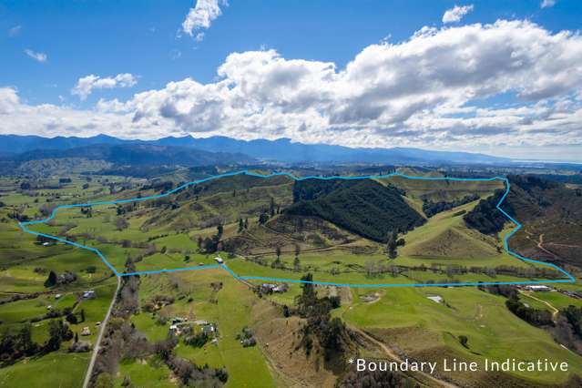 121 Win Valley Road Dovedale_1