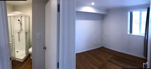 198 Manukau Road Epsom_1